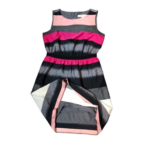 Spring Summer Loft Ann Taylor striped gray, pink black a line fit and flare slee - Picture 8 of 12
